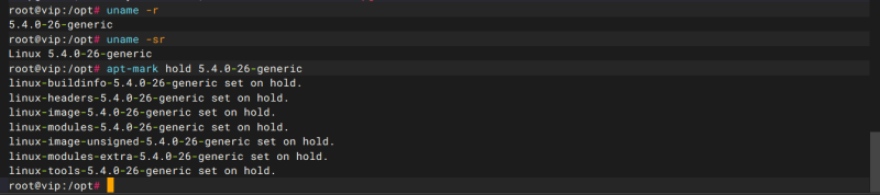 在kunpeng 920 下的Altas 300I DUO 96G 推理卡测试-威尔创新